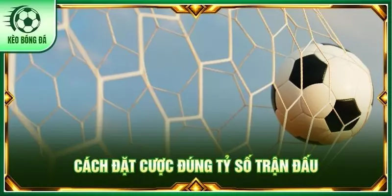 Cách đặt cược đúng tỷ số trận đấu
