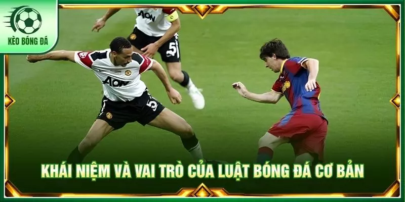 Khái niệm và vai trò của luật bóng đá cơ bản