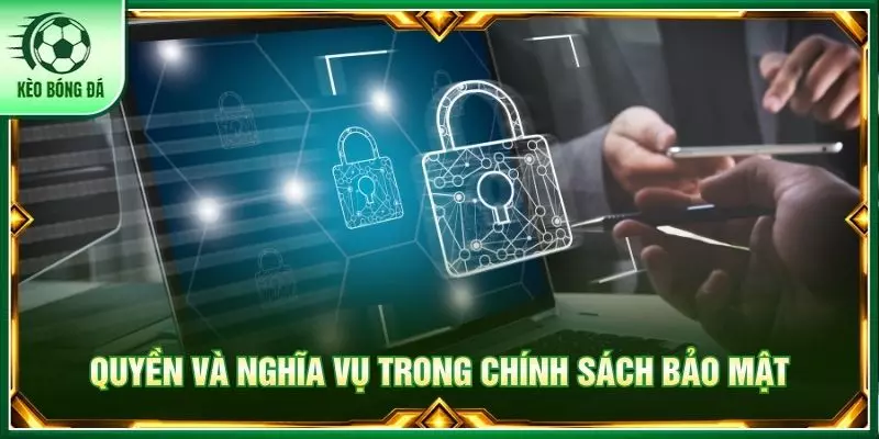 Quyền và nghĩa vụ người dùng trong chính sách bảo mật