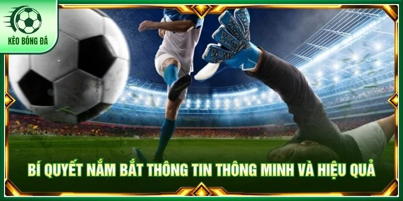 Bí quyết nắm bắt thông tin thông minh và hiệu quả
