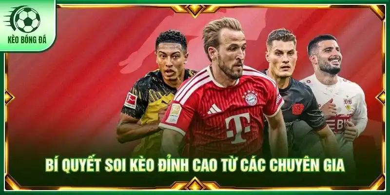 VĐQG Đức - Bức Tranh Toàn Cảnh Về Giải Đấu Đỉnh Cao Nhất Bí quyết soi kèo đỉnh cao từ các chuyên gia