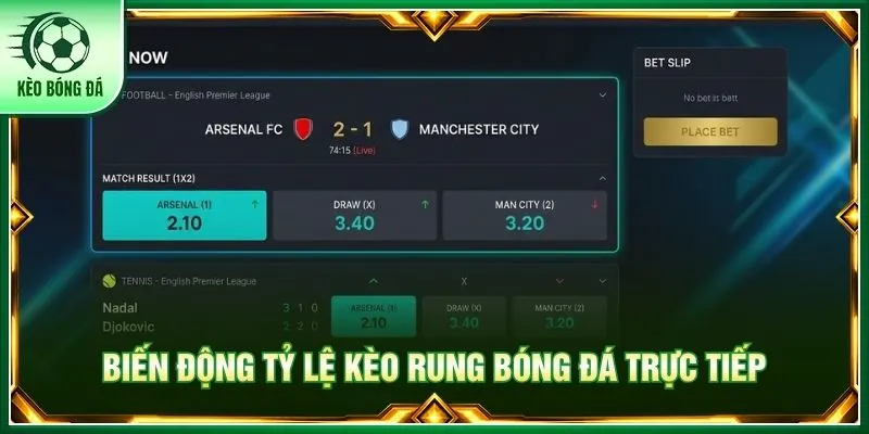 Biến động tỷ lệ kèo rung bóng đá trực tiếp