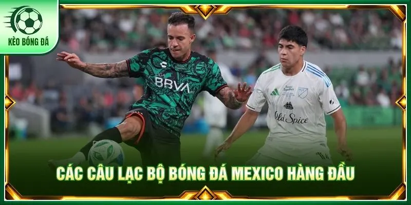 Mexico - Giải VĐQG Liga MX Hấp Dẫn Hàng Đầu Bắc Mỹ Các câu lạc bộ bóng đá Mexico hàng đầu