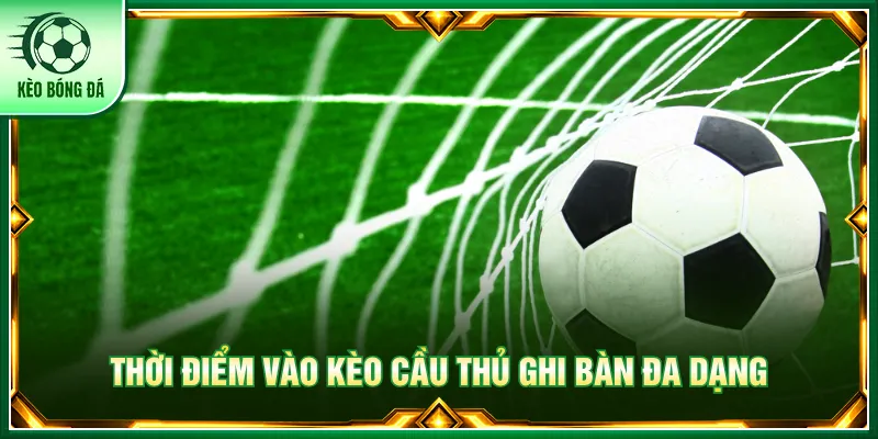 Các dạng cược lập công giúp lựa chọn thời điểm hiệu quả