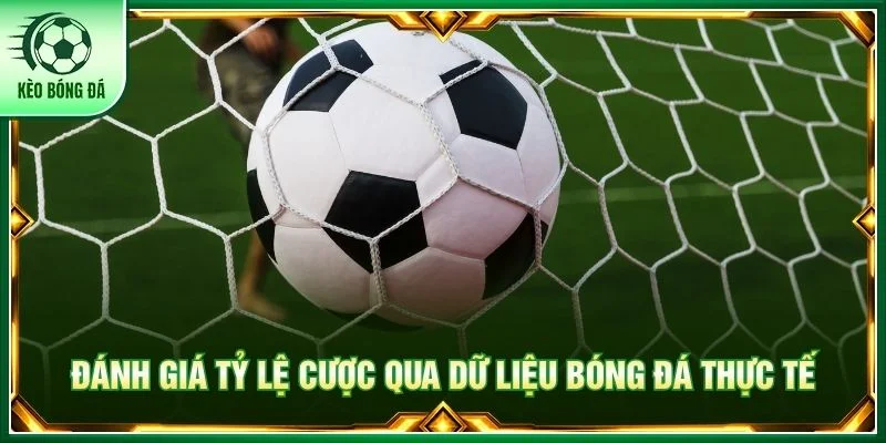 Đánh giá tỷ lệ cược qua dữ liệu bóng đá thực tế