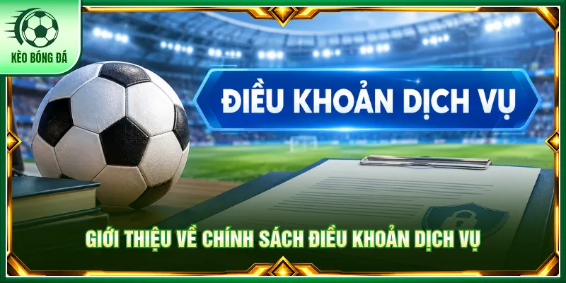 Điều Khoản Dịch Vụ Và Các Quy Định Chung Kèo Bóng Đá Điều khoản dịch vụ làm rõ giới hạn của các bên tham gia