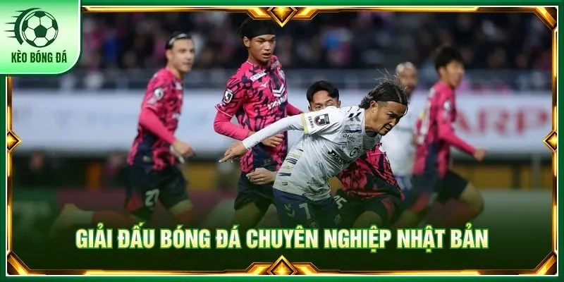 Nhật Bản Và Giải Đấu J1 League - Cẩm Nang Phân Tích Chuẩn Giải đấu bóng đá chuyên nghiệp Nhật Bản
