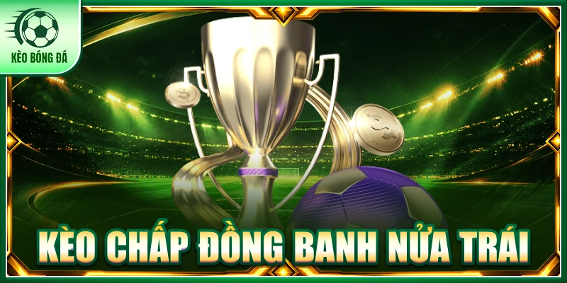Kèo Chấp Đồng Banh Nửa Trái Là Gì? Cách Đọc Chi Tiết