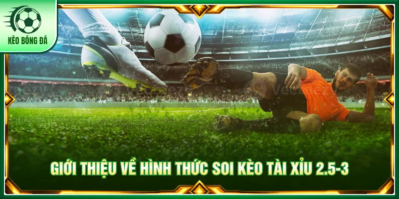 Kèo Tài Xỉu 2.5-3 - Hướng Dẫn Cách Đọc Odds Chuẩn Xác Kèo tài xỉu 2.5-3 kết quả áp dụng riêng cho từng mốc