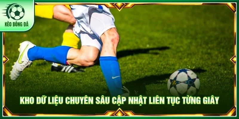 Kho dữ liệu chuyên sâu cập nhật liên tục từng giây