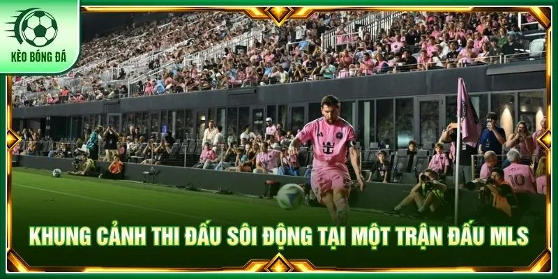 Khung cảnh thi đấu sôi động tại một trận đấu MLS