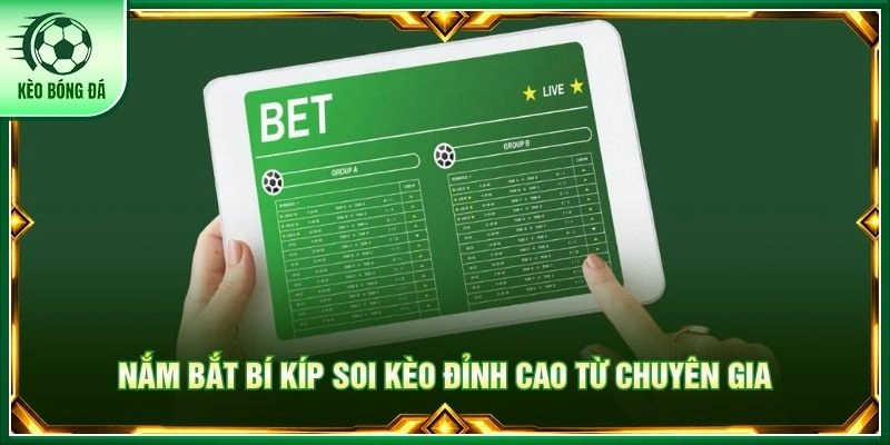 Chấp Đồng Banh Là Gì? Tip Soi Kèo Chuẩn Nhất Từ Chuyên Gia Nắm bắt bí kíp soi kèo đỉnh cao từ chuyên gia