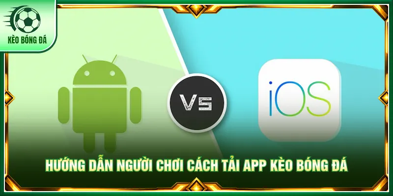Nền tảng cung cấp các hệ điều hành phù hợp để tải app