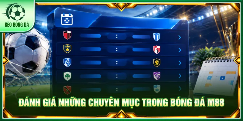 Nền tảng M88 với nhiều danh mục để phân tích dữ liệu