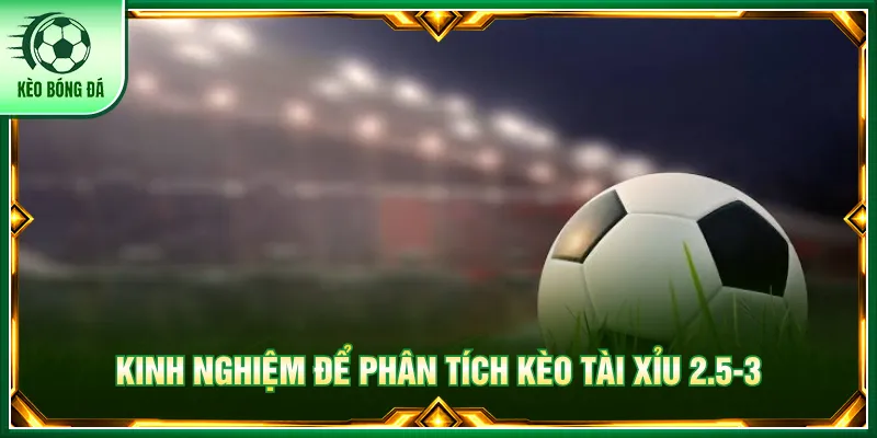 Kèo Tài Xỉu 2.5-3 - Hướng Dẫn Cách Đọc Odds Chuẩn Xác Người chơi dễ phân tích khi áp dụng mẹo kèo tài xỉu 2.5-3