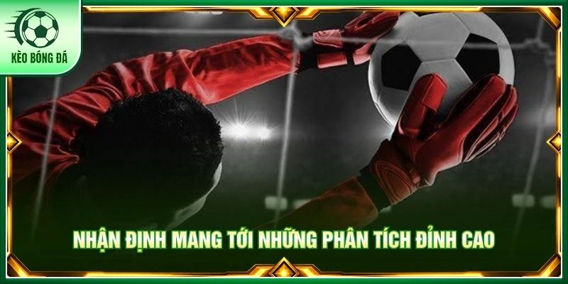 Nhận định mang tới những phân tích đỉnh cao
