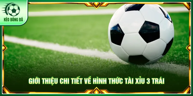 Tài xỉu 3 trái cần đánh giá tỷ lệ trước mỗi trận đấu