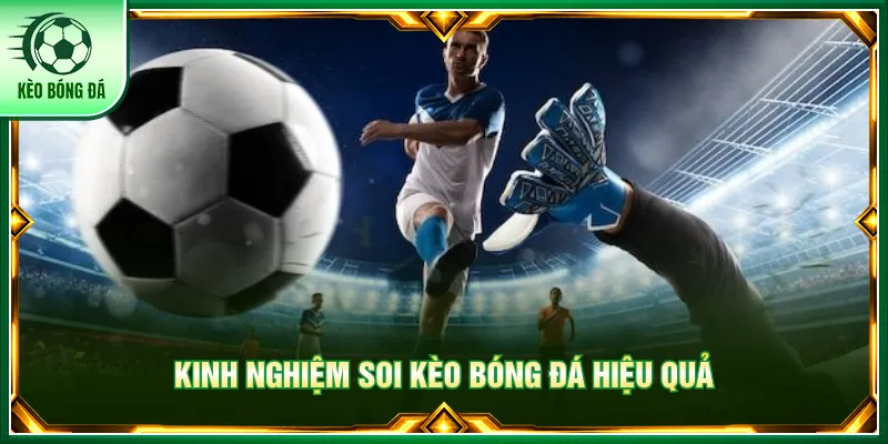Tham khảo cách phân tích phong độ và dữ liệu trước trận