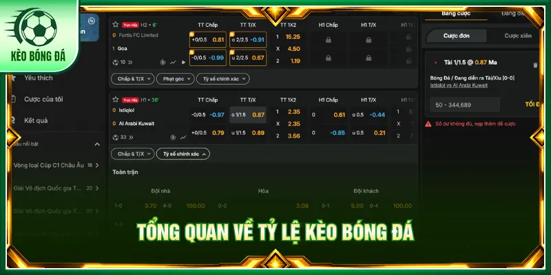 Tìm hiểu các loại kèo bóng đá phổ biến hiện nay