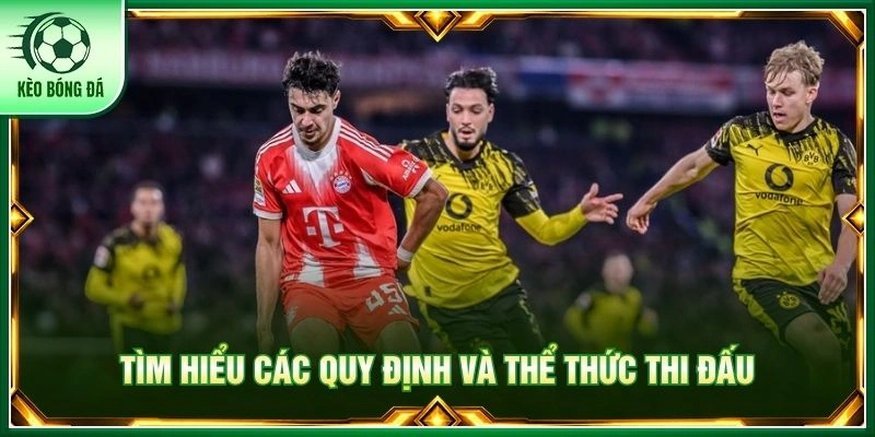 VĐQG Đức - Bức Tranh Toàn Cảnh Về Giải Đấu Đỉnh Cao Nhất Tìm hiểu các quy định và thể thức thi đấu