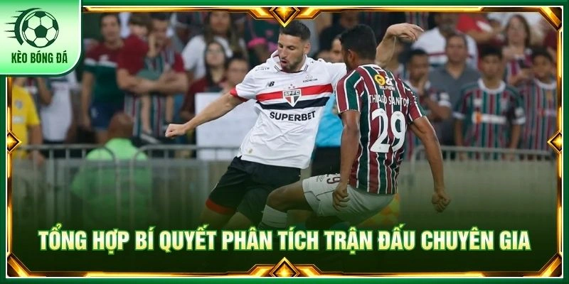 VĐQG Brazil - Sân Chơi Đẳng Cấp Của Các Vũ Công Samba Tổng hợp bí quyết phân tích trận đấu chuyên gia